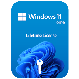 Windows 11