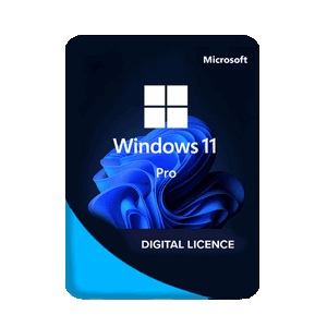 Windows 11